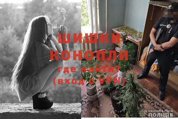 ГАЛЛЮЦИНОГЕННЫЕ ГРИБЫ Костерёво