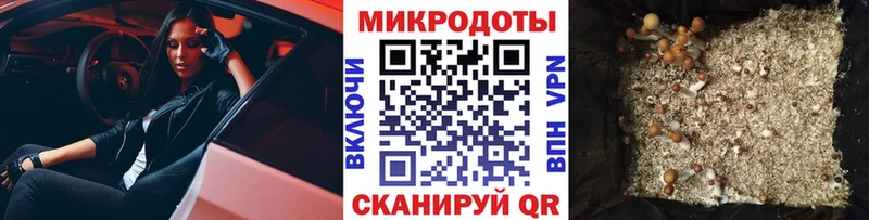 Галлюциногенные грибы Psilocybine cubensis  дарк нет Telegram  Красноперекопск 